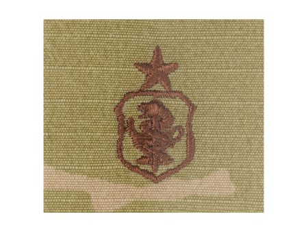 U.S. Air Force Nurse Senior OCP Spice Brown Badge For Sale