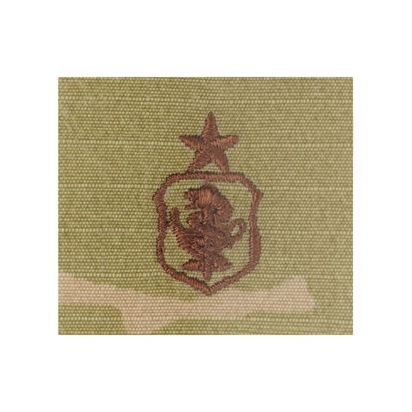 U.S. Air Force Nurse Senior OCP Spice Brown Badge For Sale