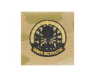 U.S. Army Instructor Badge Senior OCP Sew-on Badge Online Hot Sale