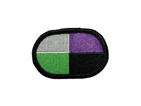 91st Civil Affairs Battalion Oval Online