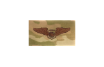 U.S. Air Force Air Battle Manager OCP Spice Brown Badge Fashion