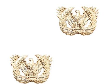 Warrant Officer Eagle Sta-Brite For Cheap