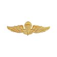 Indonesian Foreign Jump Wings - Regulation size (ea) Online now