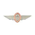 German Jump Wings Large (Bronze Wreath) (ea) For Cheap