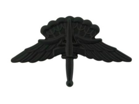 U.S. Army Military Free Fall Parachutist (Halo) Basic STA-BRITE® BLACK Metal Pin-on Badge Online now