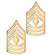 U.S. Army E8 First Sergeant STA-BRITE® Pin-on Rank For Cheap