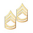 U.S. Army E7 Sergeant First Class STA-BRITE® Pin-on Rank Online Sale