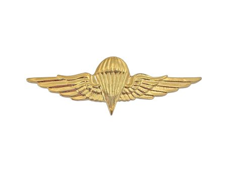 Jordanian Basic Jump Wings - Regulation size (ea) For Cheap