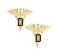 US Army Medical Dental  D  Officer Branch STA-BRITE® Pin-on For Sale