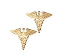 US Army Medical Officer Branch STA-BRITE® Pin-on on Sale