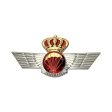 Spain Jump Wings - Regulation size (ea) Cheap